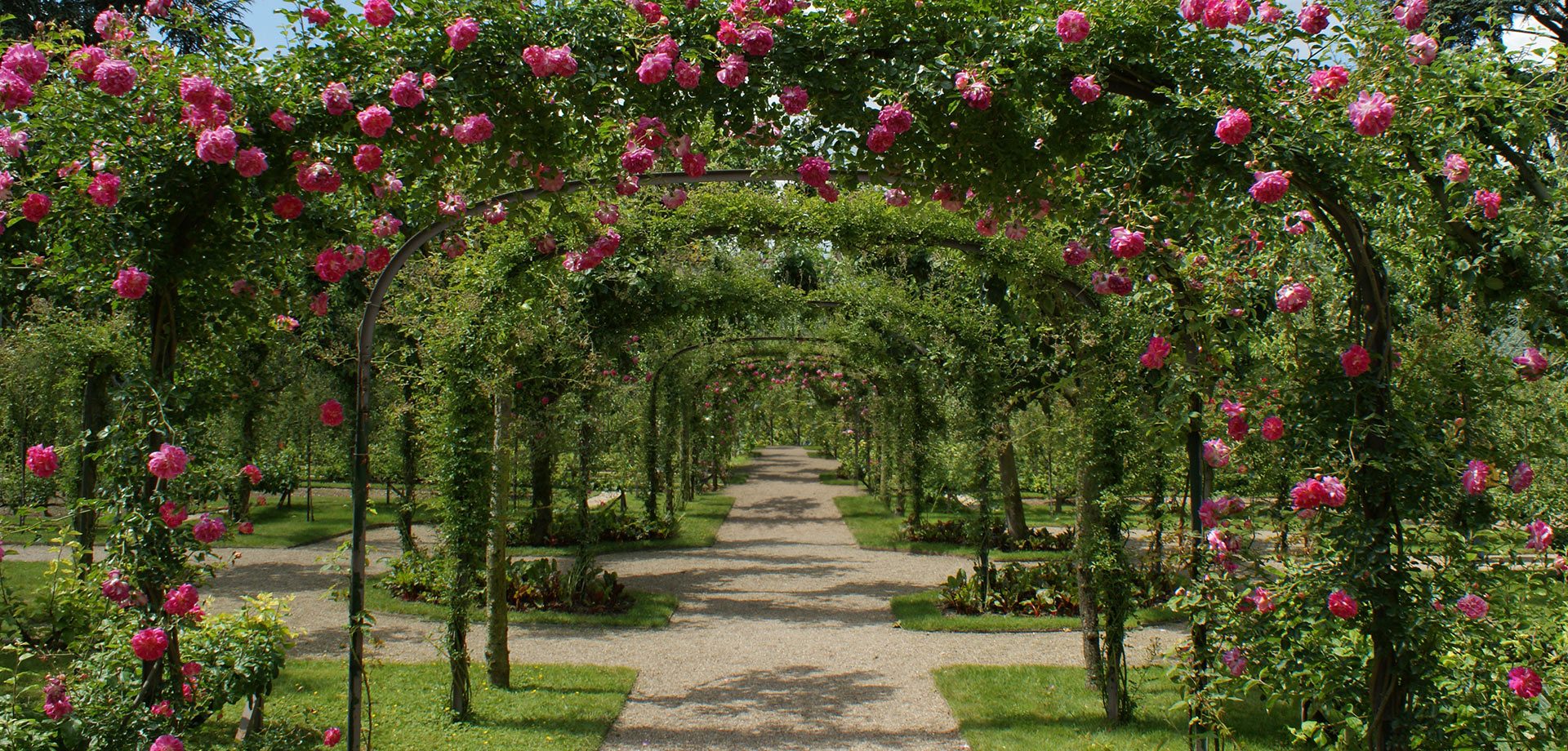 Aménagement de jardins bordighera imperia sanremo costa azzurra